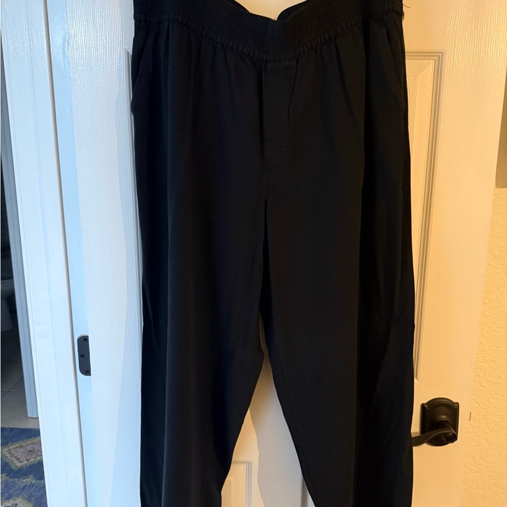 Madewell women’s black wide leg pants 2x